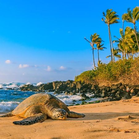 Hawaiian Monarch 801 Condo Χονολουλού Εξωτερικό φωτογραφία